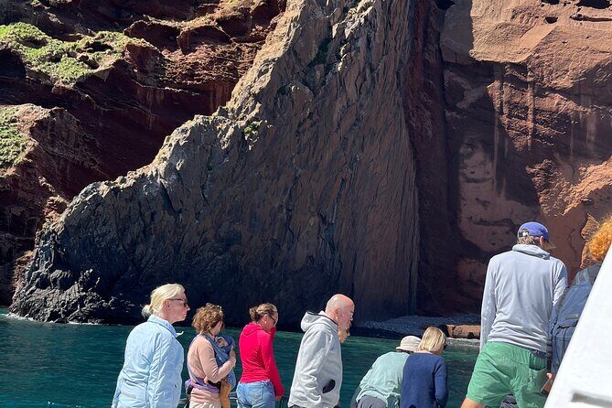 Akaroa Wildlife Cruise - Who Should Choose This Tour?