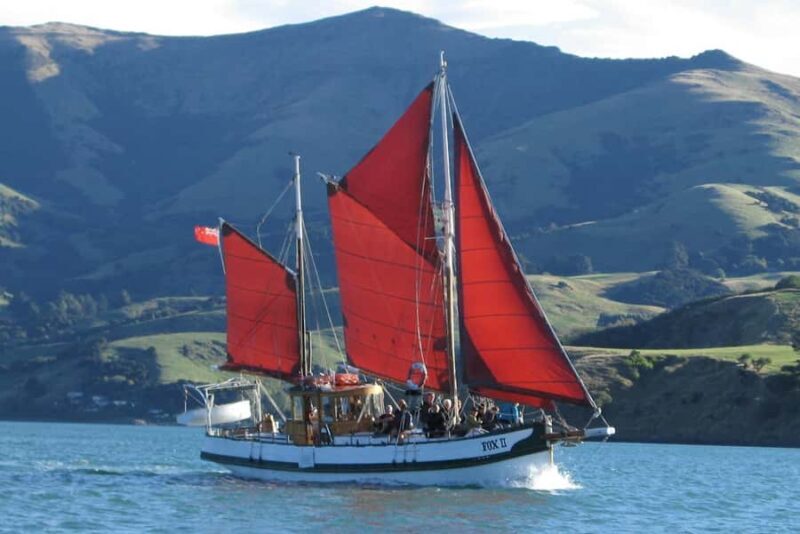 Akaroa: Wildlife Cruise with Dolphins and Penguins - Key Points