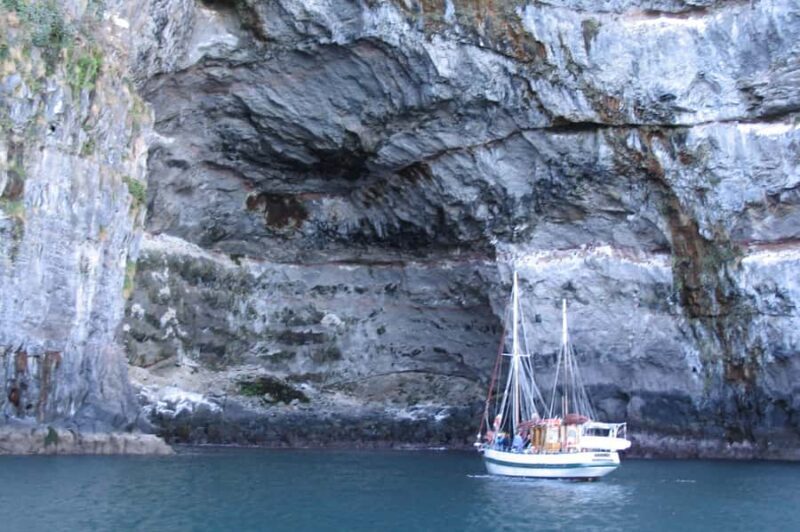Akaroa: Wildlife Cruise with Dolphins and Penguins - Who Will Love This Tour?