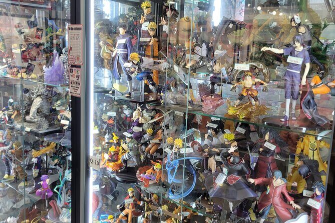 Akihabara Insider Tour with Professional Photos - Key Points