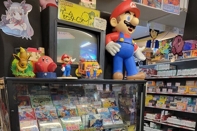 Akihabara Insider Tour with Professional Photos - Who Should Book This Tour?