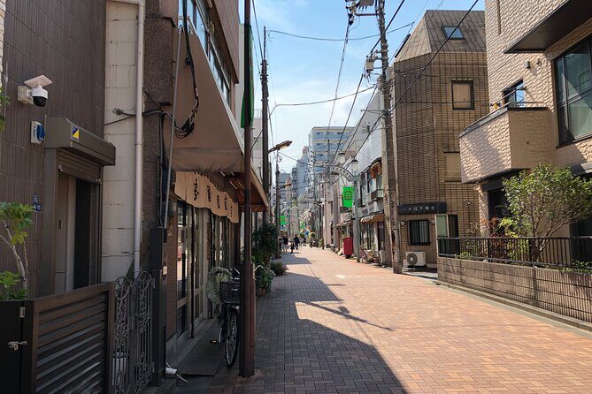 Akihabara Tofu Making Class and Shopping Tour - A Closer Look at the Tour