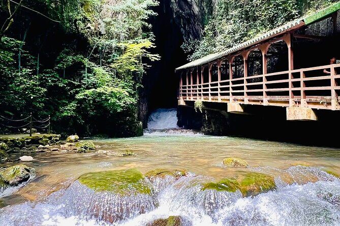 Akiyoshido Cave & Motonosumi Shrine Coastline & Spelunking Tour - FAQ