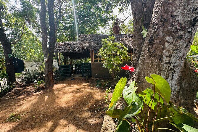 Akka Nago Cooking Class & Resturant - What You’ll Learn and Do