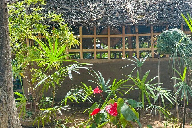 Akka Nago Cooking Class & Resturant - Practical Tips for Travelers