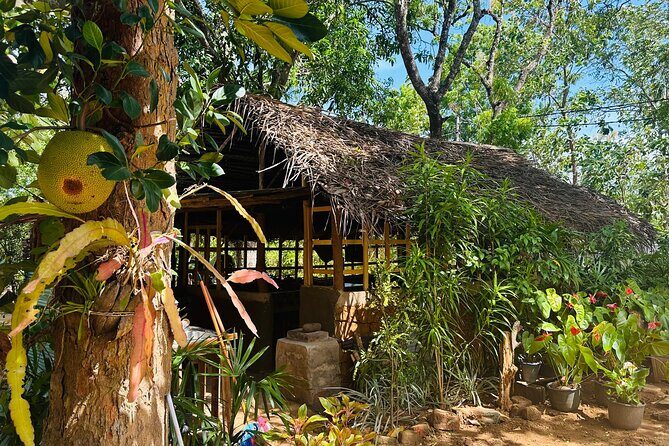 Akka Nago Cooking Class & Resturant - FAQ