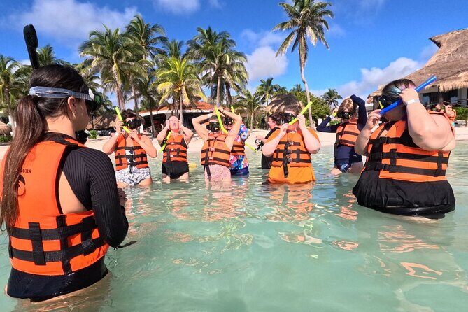 Akumal Adventure with Swimming with Turtles, Cenotes, Mexican Lunch. - An In-Depth Look at the Tour Experience