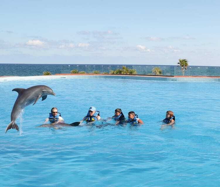 Akumal: Dolphin Encounter - FAQ