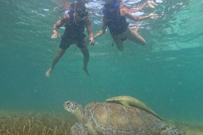 Akumal : Guided Snorkeling with Green Turtles and Corals - FAQs
