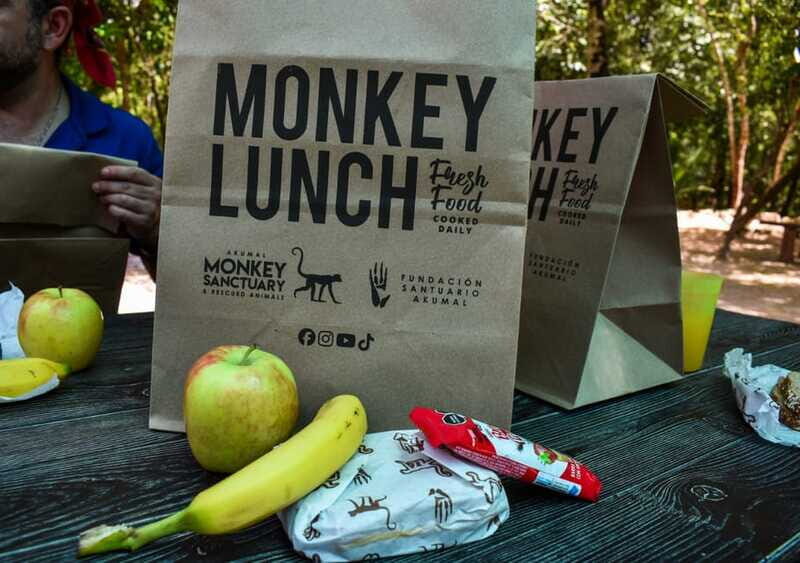 Akumal: Monkey Sanctuary, ATV, Cenote, & Yalku Snorkel Tour - The Sum Up