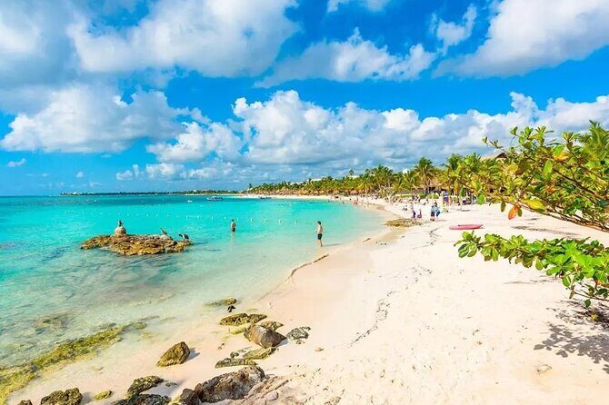 Akumal Reef Snorkel and Turtle Sanctuary From Riviera Maya - Pricing and Value