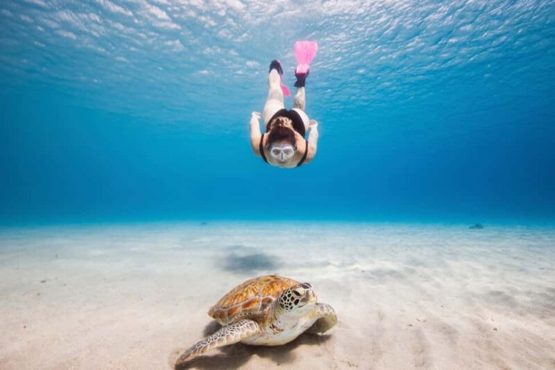 Akumal: Snorkeling Adventure with Turtles and Marine Life - Key Points