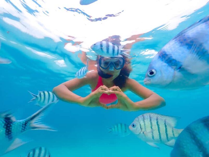 Akumal: Snorkeling Adventure with Turtles and Marine Life - Practical Tips for Participating
