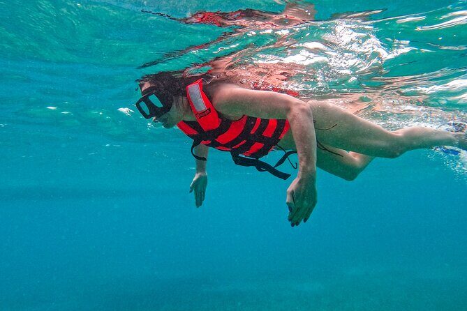 Akumal Snorkeling With Turtles - The Practicalities: Price, Duration, and Value