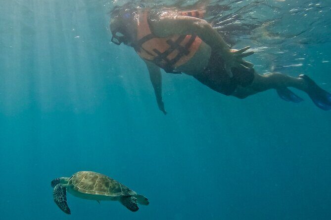 Akumal Snorkeling With Turtles - FAQ