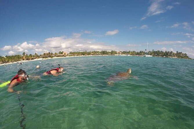 Akumal turtles sanctuary and go pro photos - The Guides and Their Role in Creating a Memorable Visit