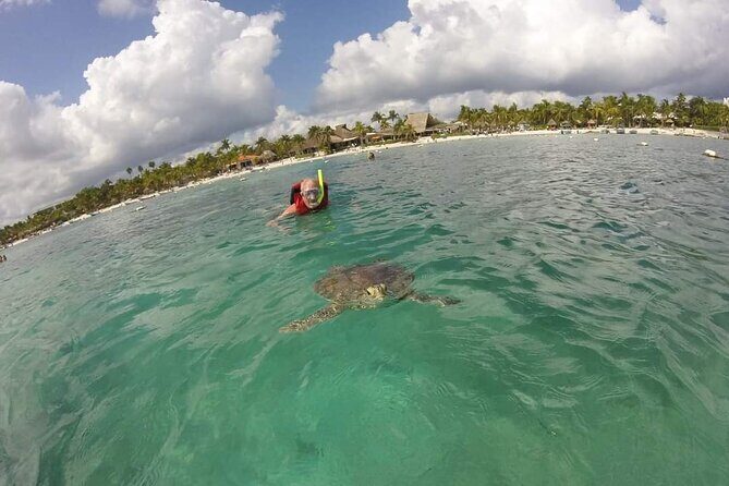 Akumal turtles sanctuary and go pro photos - The Experience Itself: What You Are Likely to See and Feel