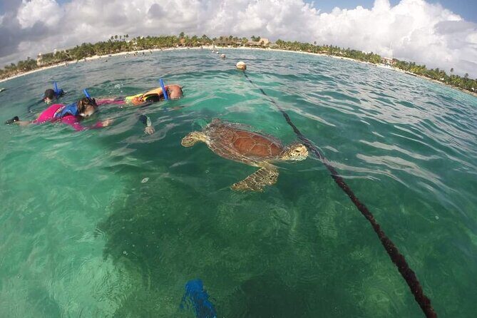 Akumal turtles sanctuary and go pro photos - Authentic Encounters and Responsible Tourism