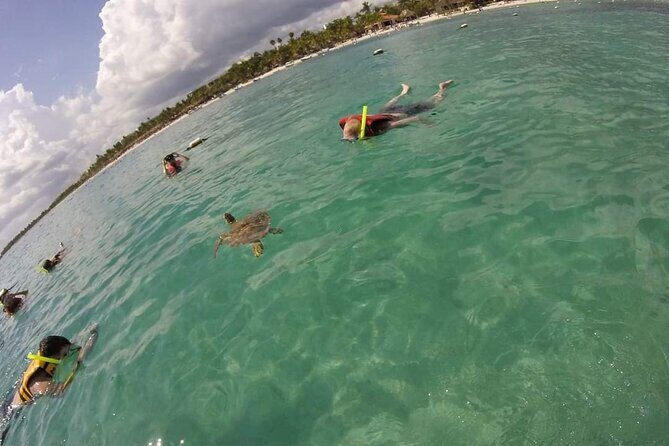 Akumal turtles sanctuary and go pro photos - The Sum Up: Who Will Love This Tour?
