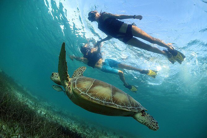 Akumal Turtles, Snorkel Tour from Cancun or Riviera Maya - FAQ