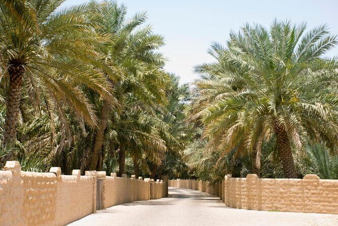 Al Ain City Sightseeing tour with Lunch from Dubai - Authentic Experiences and Real Traveler Insights
