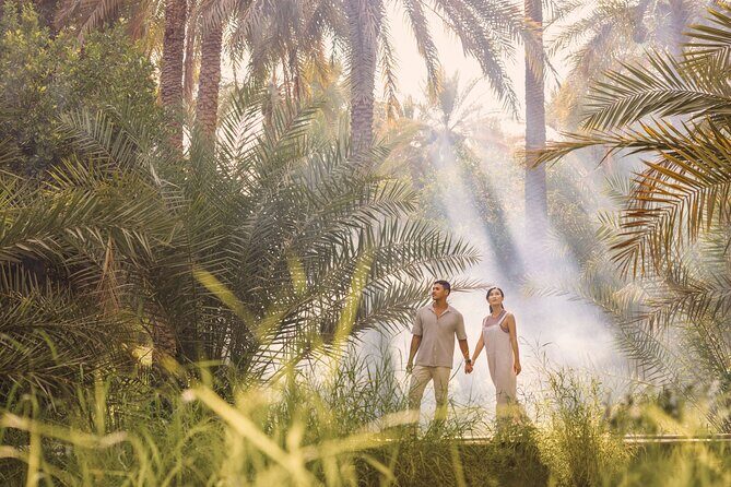 Al Ain City Tour from Dubai - What’s Included and What’s Not