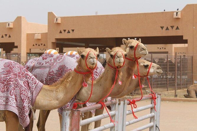 Al Ain City Tour on Private Basis - Jebel Hafeet and Green Mubazarrah: Panoramic Views and Natural Springs