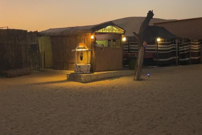 Al Ain Desert Safari with Buffet Dinner - Who Will Love This Experience?