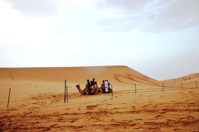 Al Ain Desert Safari with Buffet Dinner - Final Thoughts