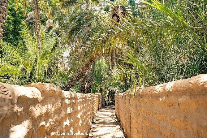 Al Ain Full Day Trip from Abu Dhabi with Lunch - Who’s This Tour Best Suited For?