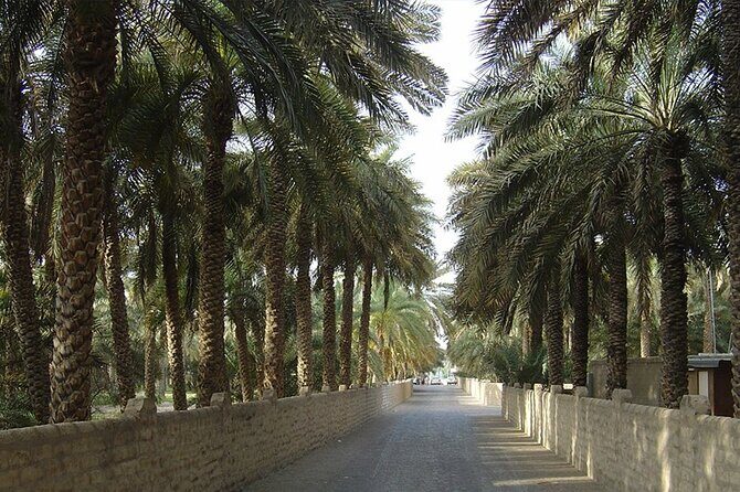 Al Ain Oasis Tour with Pickup and Drop off - What This Tour Offers: A Step-by-Step Breakdown