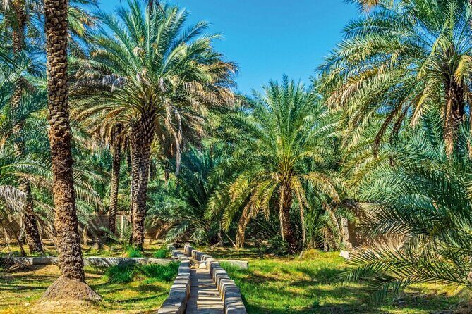 Al Ain Oasis Tour with Pickup and Drop off - Practical Considerations