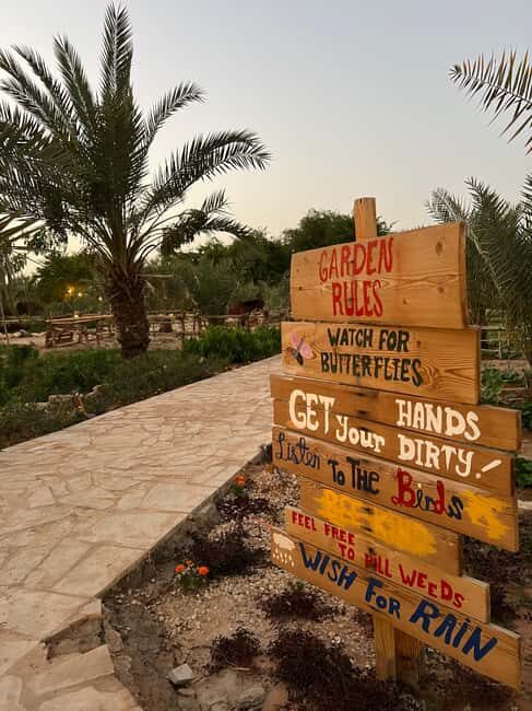 Al Amaaria: Storm Farm Entry Ticket - Celebrating Special Occasions