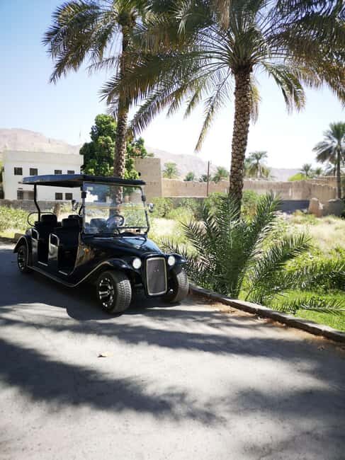 Al Aqur Village Cultural Cart Tour - Key Points