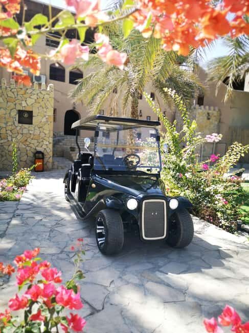 Al Aqur Village Cultural Cart Tour - A Detailed Breakdown of the Experience