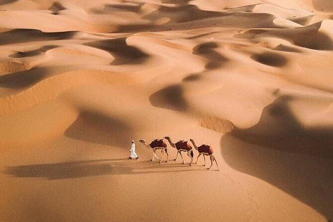 Al Awir Morning Desert Safari Dubai - Final Thoughts