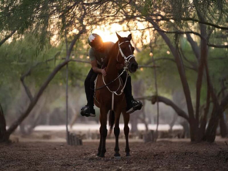 Al Mirfa: Forest Horseback Riding Adventure - Practical Details and Tips for Travelers