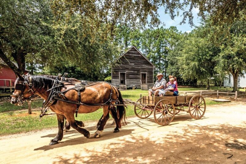Alabama: Dothan-Eufaula Area Multi-Attraction Pass - Who Should Consider This Pass?