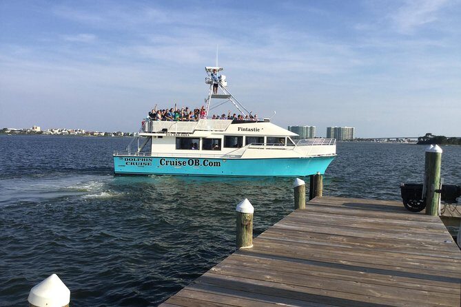 Alabama Gulf Coast Dolphin Cruise - The Real Value: Why $25 Is a Fair Price
