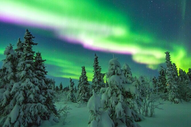Alaska Aurora Season and Fairbanks Aurora Chasing Explore - An In-Depth Look at the Tour Experience