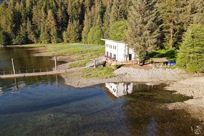 Alaska Bears and Silver Bay Homestead - A Close Look at the Alaska Bears and Silver Bay Homestead Tour