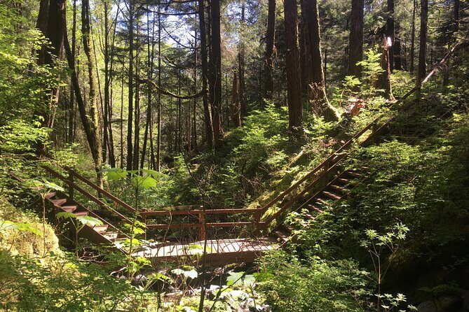 Alaska Bigfoot Adventures - Meeting Point and Logistics