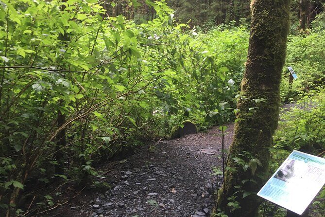 Alaska Bigfoot Adventures - Practical Tips for Participants