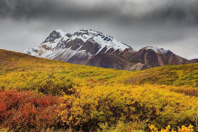 Alaska Fall Colors with Northern Lights 5 Days - What’s Included and What’s Not