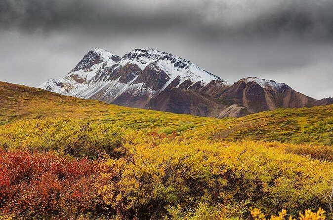 Alaska Fall Colors with Northern Lights 5 Days - FAQs