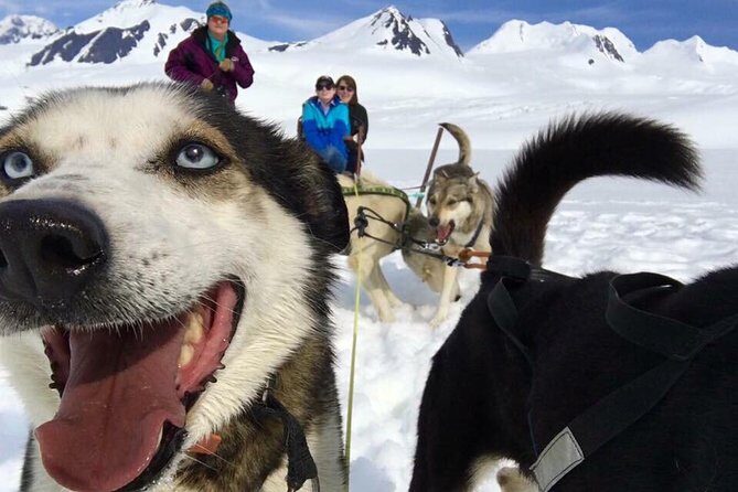 Alaska Helicopter and Glacier Dogsled Tour - ANCHORAGE AREA - Introduction: A Thrilling Alaskan Adventure Worth Considering