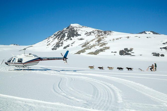 Alaska Helicopter and Glacier Dogsled Tour - ANCHORAGE AREA - The Value Conversation: Is It Worth the Price?