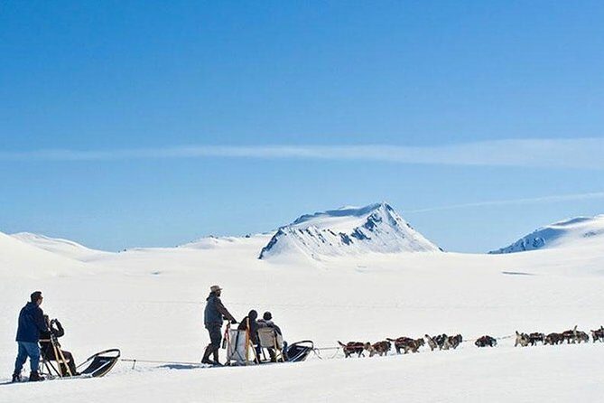Alaska Helicopter and Glacier Dogsled Tour - ANCHORAGE AREA - FAQ