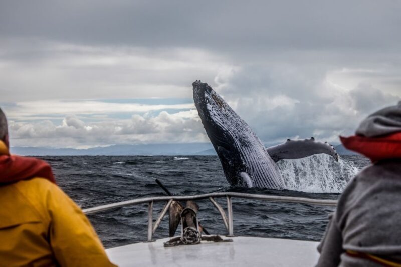 Alaska: Kenai Fjords & Denali National Park 5 Day Adventure - What’s Included and What’s Not