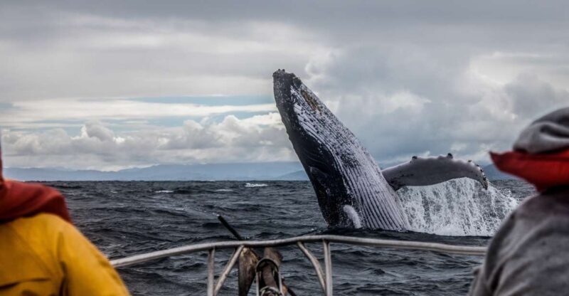 Alaska: Kenai Fjords & Denali National Park 5 Day Adventure - Who Should Consider This Tour?